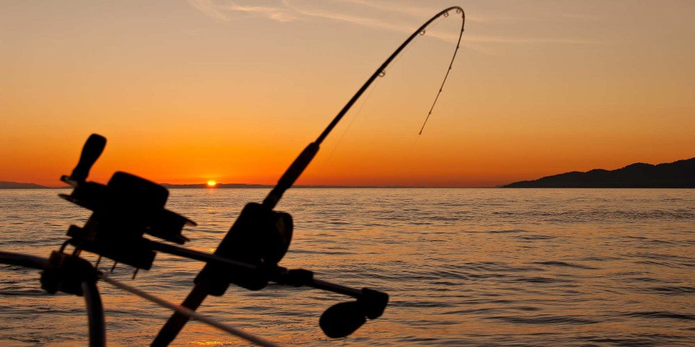 bottom fishing reel and rod Blackfin Snapper 7' (Regular) making it suitable for both beginners and experienced anglers Kristal KF001 Electric Reel &