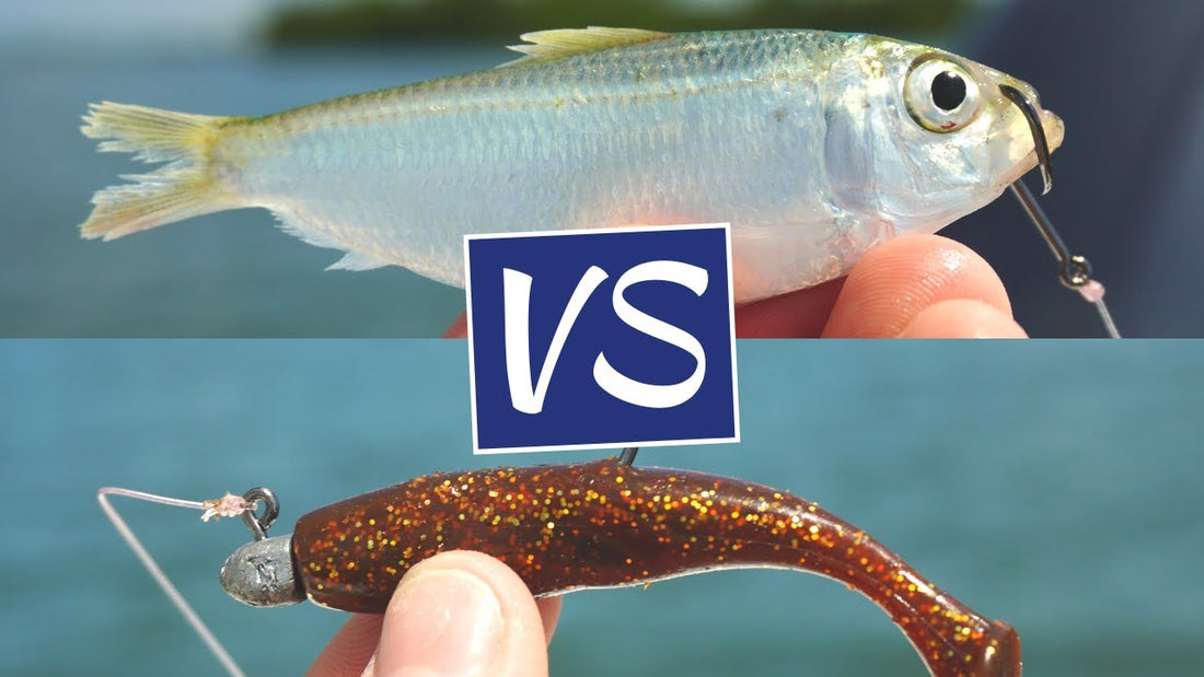 Sport Fishing A Complete Guide to Choosing Between Natural and Artificial Bait Pros and Cons_9357f388 dc49 4475 a8b7 5d1df31ca659