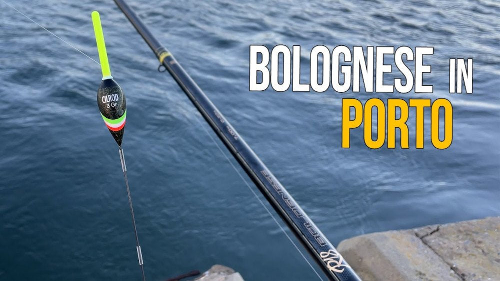 Bolognese Fishing At Sea Complete Guide Demon Sunglasses