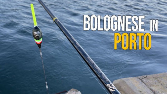 Bolognese Fishing at Sea: Complete Guide