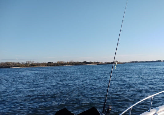 Complete Guide to Saltwater Fishing: Find the Best Spots