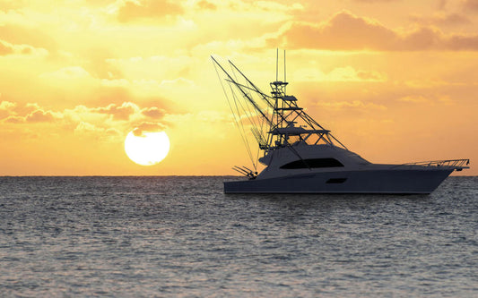 Deep Sea Bottom Fishing: Complete Guide to Equipment, Bait and Techniques