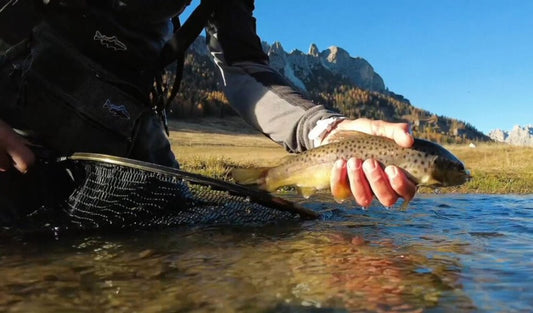 Essential Gear for Fishing in Lakes, Rivers, and Streams: Complete Guide and Useful Tips