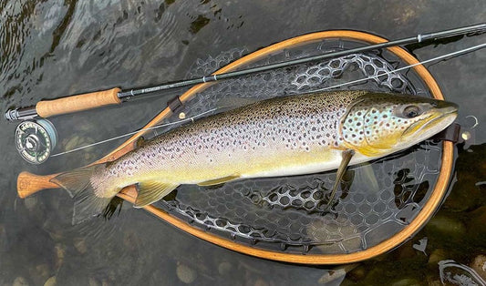 Fishing for Trout in Streams: Complete Guide to Strategies and Equipment