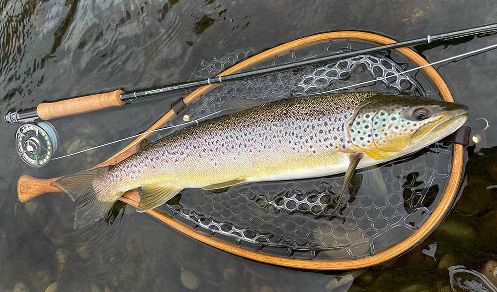 fishing for trout in streams complete guide to strategies and equipment_6d804a28 0bd2 40cd b199 27c7a773fb70