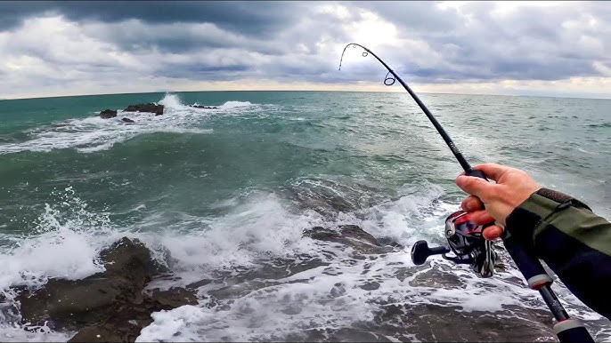 light spinning fishing in the sea techniques tips and insights_2cc285d0 830f 411b 8f56 e079f596e160