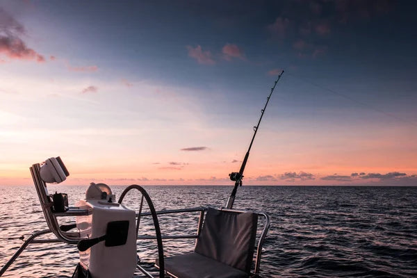medium ledgering at sea complete guide_752e2b4e 4e55 4042 bf66 4ed2f5ece9ec
