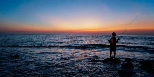 Medium Spinning in the Sea: Techniques, Equipment and Tips for Larger Predators