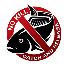 no kill sport fishing_c948c92e 1ea1 42f6 bdf0 1c45c7fc96ff