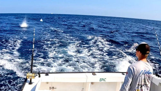 Offshore Drifting Fishing: Complete Guide to Gear, Techniques, and Tips