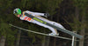 Ski Jumping: History, Techniques, Records, and Curiosities