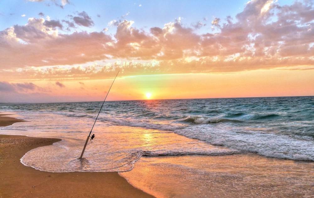 surfcasting at sea complete guide_31488199 aafe 4eb9 8b35 0c9d41719643
