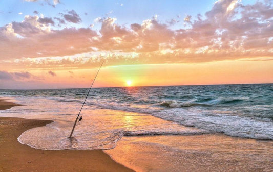 Surfcasting at Sea: Complete Guide