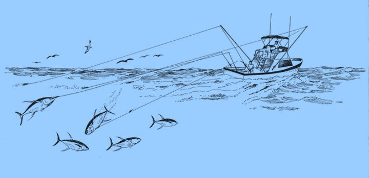 trolling fishing complete guide to techniques equipment and target species_4282cd34 2fc2 4642 948d 27a5070a39fe