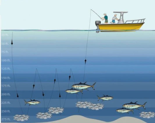 Vertical Jigging and Inchiku: Complete Guide to Technique, Equipment and Target Species