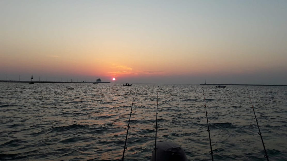 where to fish in the venice lagoon chioggia area and what bait to use_bd97864e ade7 441d 913c bd420f2a67af