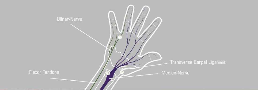 cycling gloves chiba bioxcell for carpal tunnel protection bioxcell