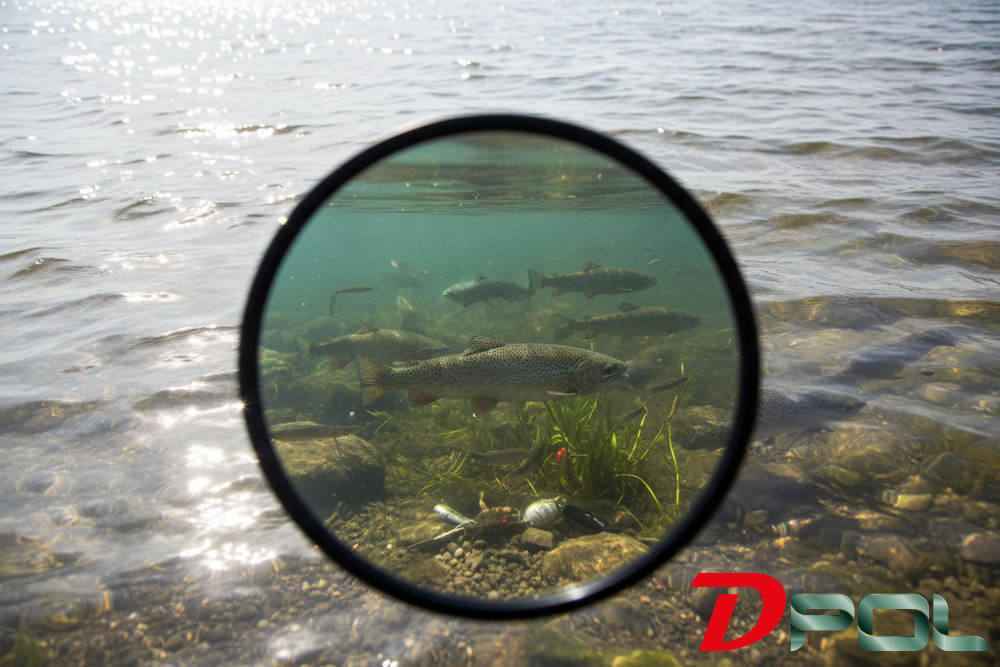 Lentes polarizadas para pesca en agua salada y dulce.